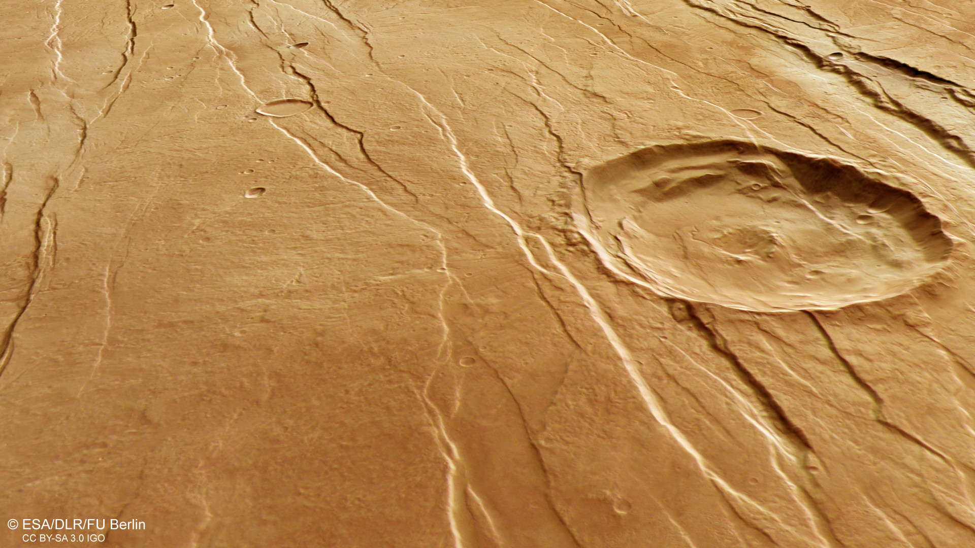 Tantalus Fossae 的透視圖
